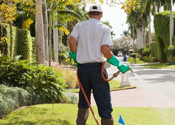 About Oakfield TN Pest Control Pros